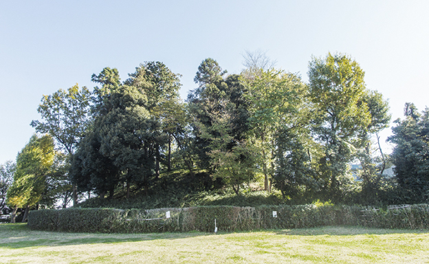 城山公園