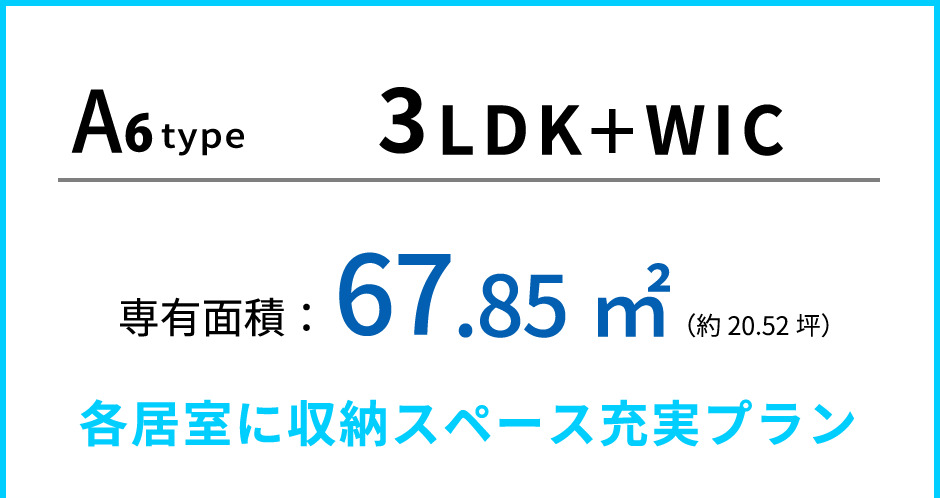 A6type