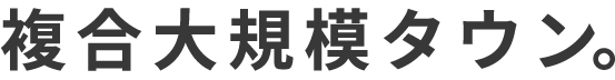 複合大規模タウン。